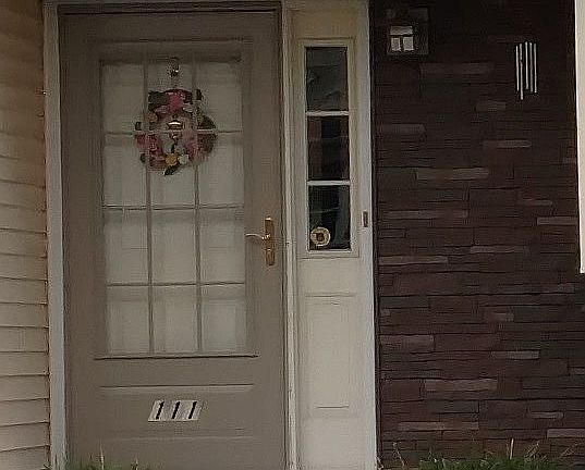 New storm door and siding