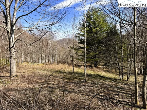 Lot 3 Larkspur Trail, Banner Elk, NC 28604