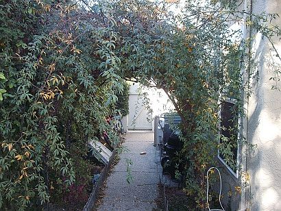 3rd image of 113 Blackwood Ct