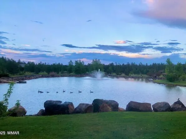 9576 Sierra Springs Dr, Pinetop, AZ 85935