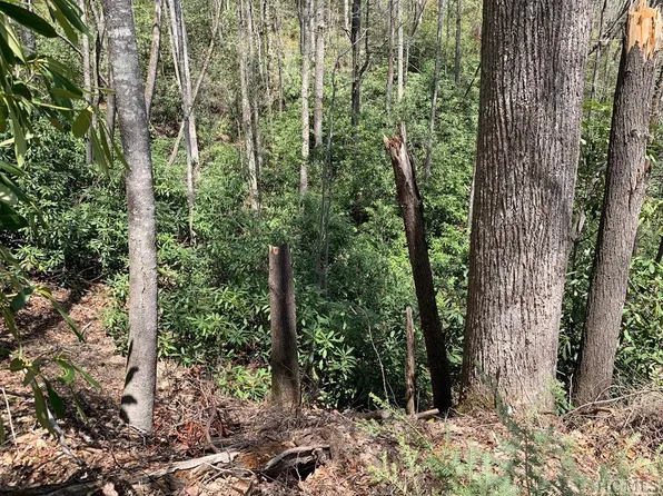Lot 31 Beech Court, Sapphire, NC 28774