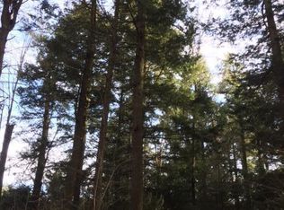 17345 Sandi Ln, Townsend, WI 54175