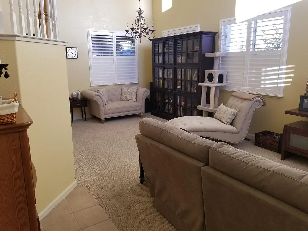 10048 Silver Star Drive — Photo 3