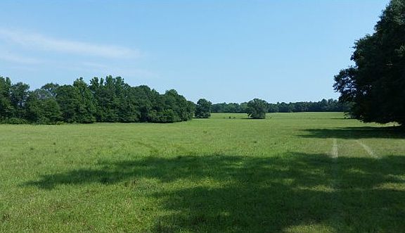 2nd image of 1614 County Road 10