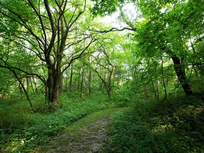 0 E Knox Rd #1350-E-11424, Dahinda, IL, 61428