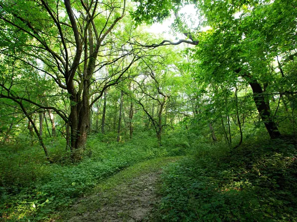 0 E Knox Rd #1350-E-11424, Dahinda, IL 61428