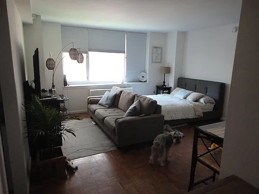 Rented by Addison Property Group | media 17