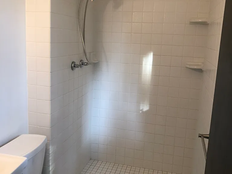 Shower in master bathroom.