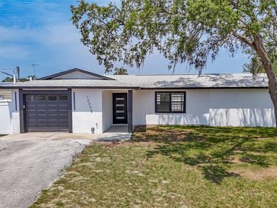 10006 N Connechusett Rd, Tampa, FL, 33617