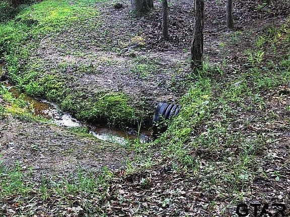 5th image of 17682 E Lake Estates Dr
