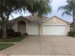 19319 Wind Dancer St, Lutz, FL 33558