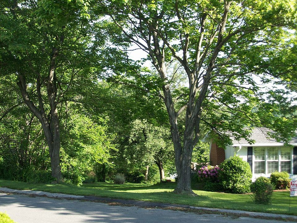 side view- treed lot