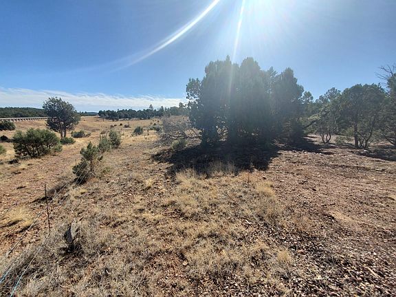2nd image of 5341 Black Forest Ln