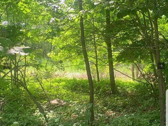 3rd image of LOT 12 Suter Dr