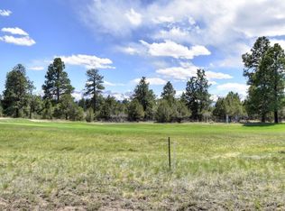 1627 Marmot Dr LOT V310, Ridgway, CO 81432