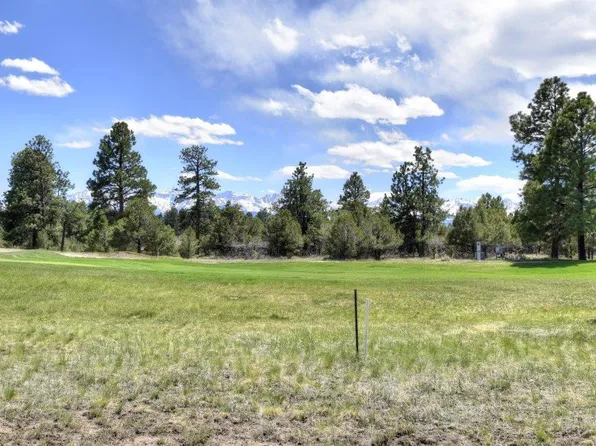 1627 Marmot Dr Lot V310, Ridgway, CO 81432