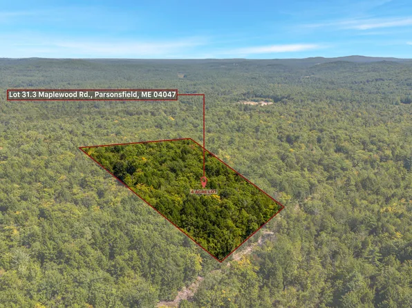 031-003 Maplewood Road, Parsonsfield, ME 04047