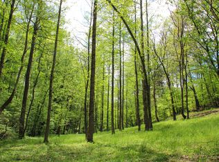 Foxhills Dr, Louisville, TN 37777