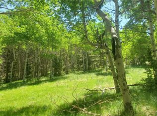 3085 Henderson Dr LOT 3085, Fort Garland, CO 81133