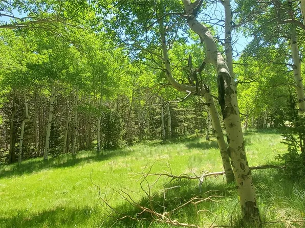 Lot 3085 Henderson Lane LOT 3085, Fort Garland, CO 81133