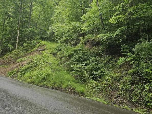 1068 Lesters Fork Rd, Grundy, VA 24614