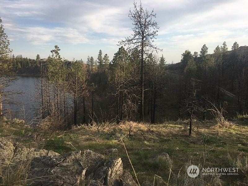 0 NKA Madd Mountain, Okanogan, WA 98840 Zillow