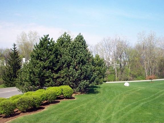 View looking West from deck