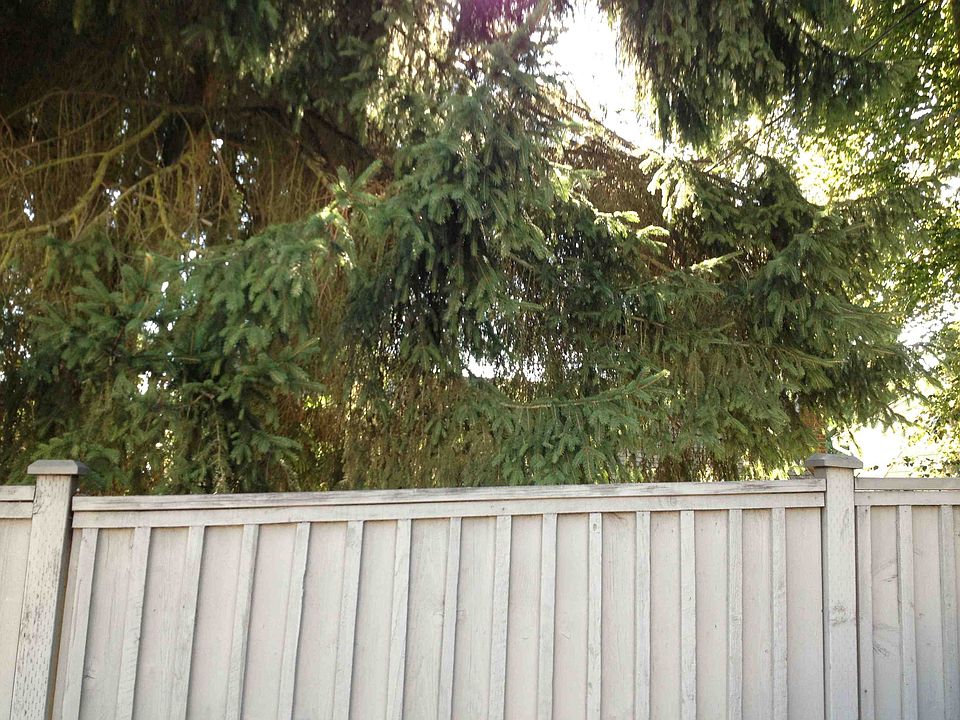 1st image of 10012 15th Ave NE