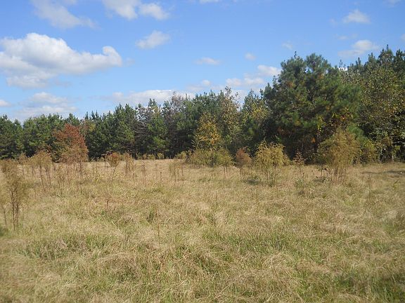 5th image of 3976 Highway 1228