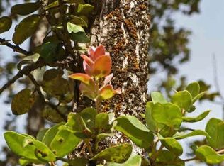 Lot 12 S Makamae St, Pahoa, HI 96778
