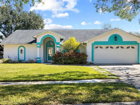 15315 Carrollton Ln, Tampa, FL 33624