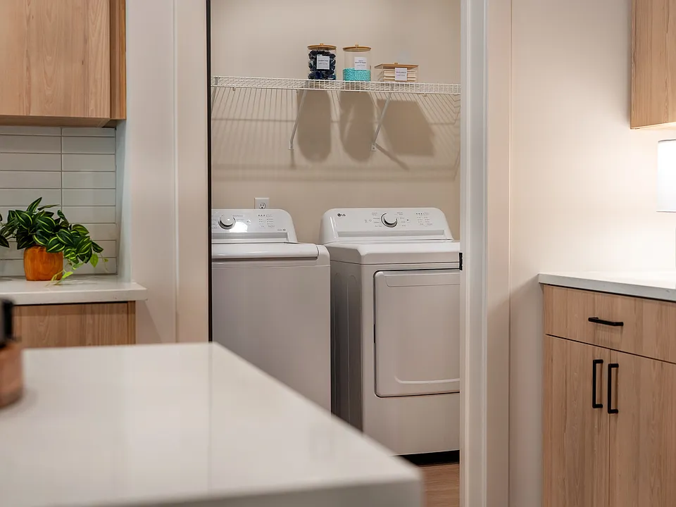 Washer & Dryer in Home
