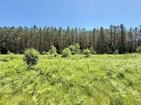 0 Brook Lane, Hayward, MN 54843