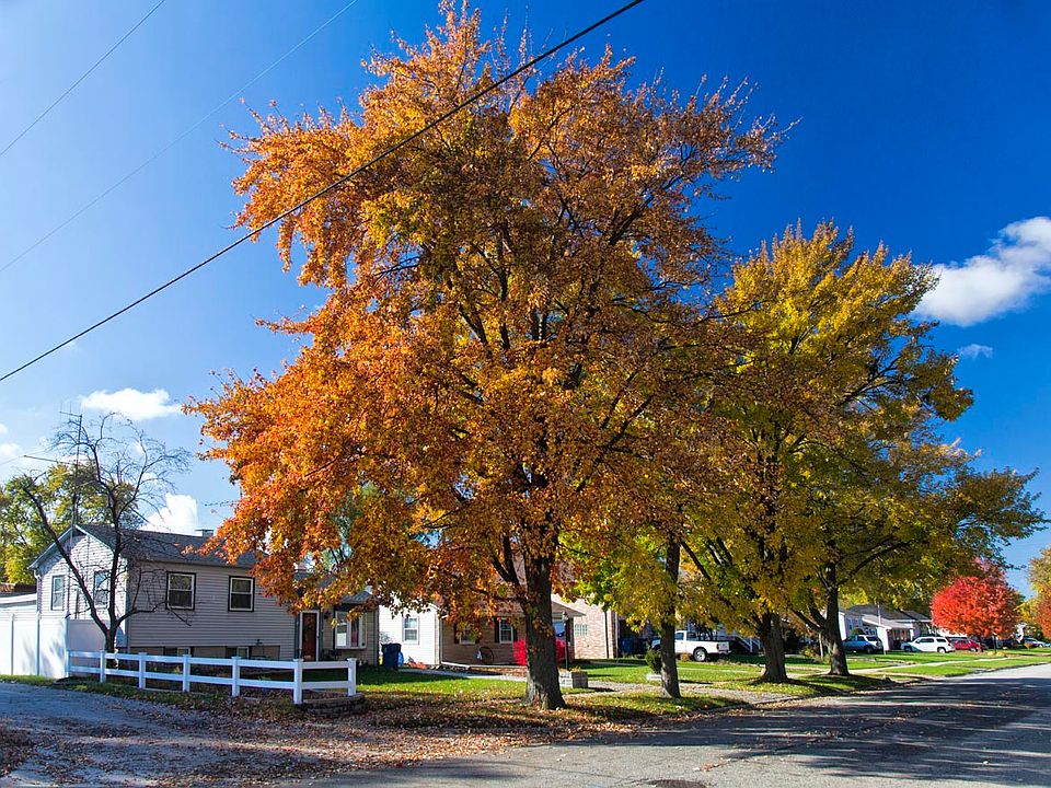 Autumn view
