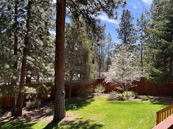 Backyard in the spring.