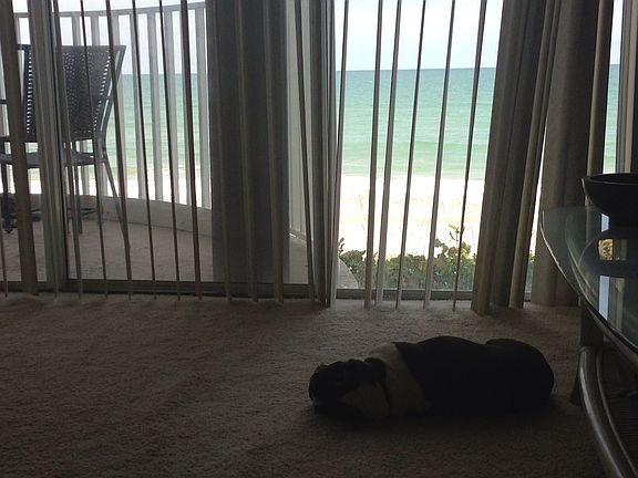 3rd image of 2225 Highway A1a APT 205
