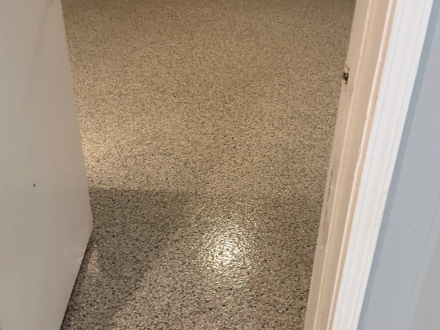2 bed, 950 sqft, $1,100 — Photo 3