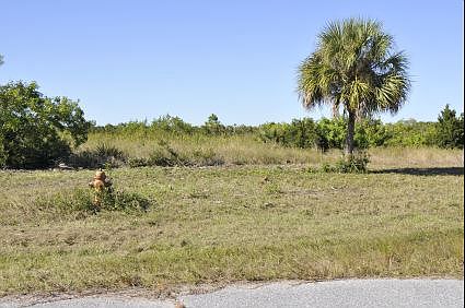 Huge 12,000 s.f. lot!