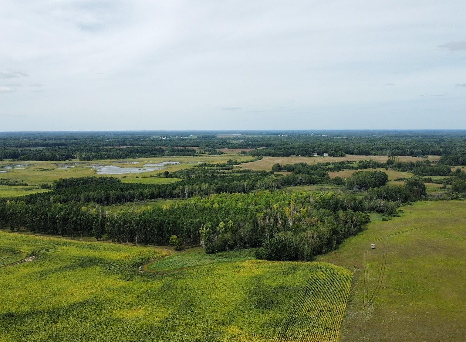 Pilgrim Road Pilgrim Rd, Bertha, MN 56437 | Zillow