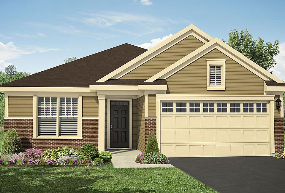 Elevation Image 1.