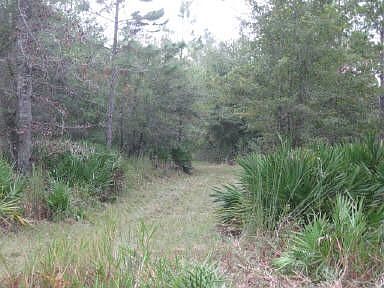 3rd image of 240 SE 311th Ave