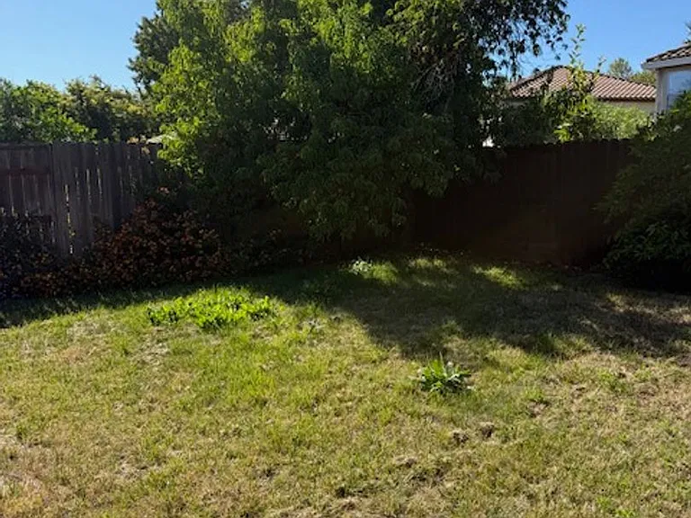10 White Lily Ct — Photo 25