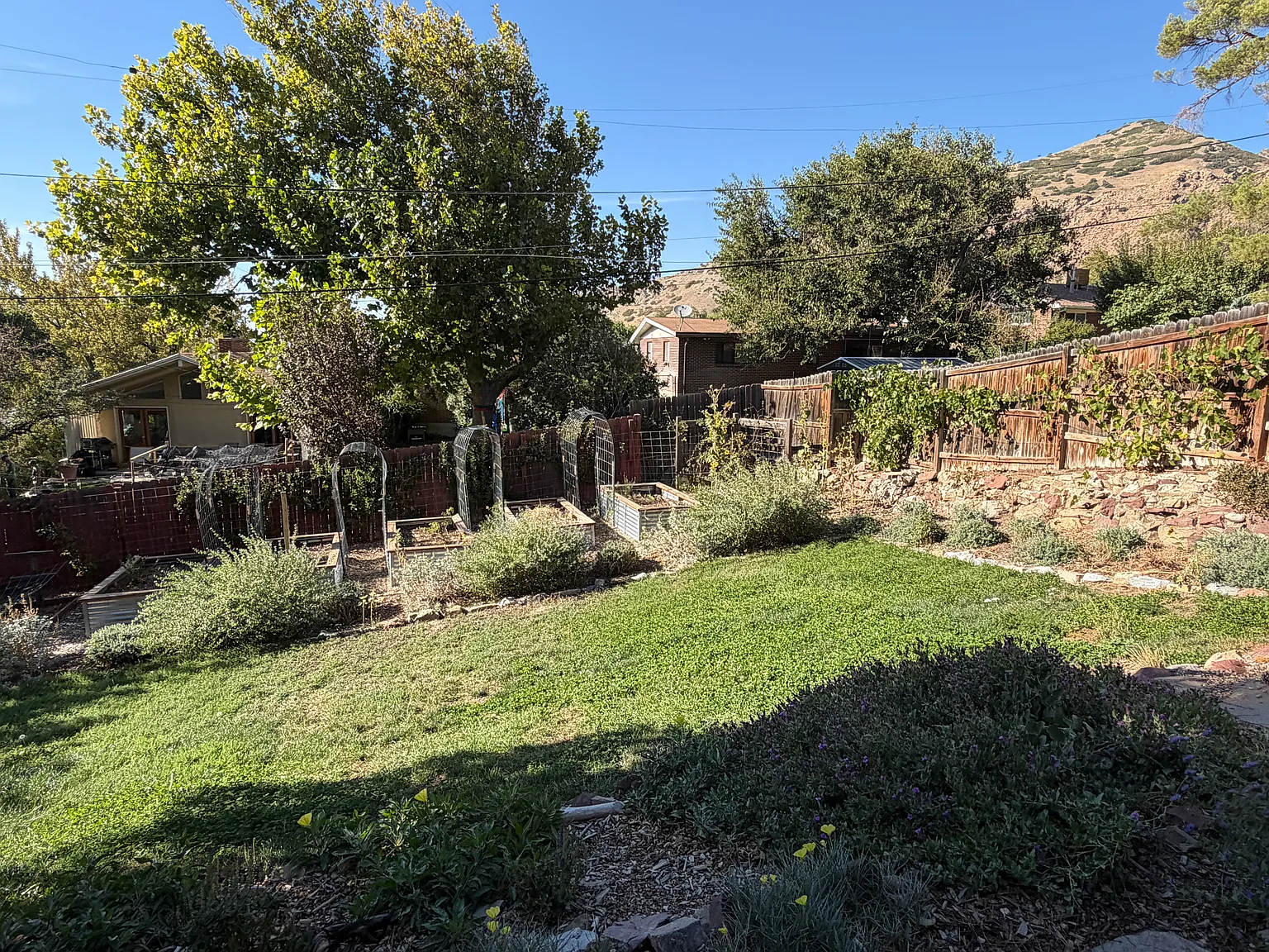 4 bed, 1752 sqft, $3,695 — Photo 3