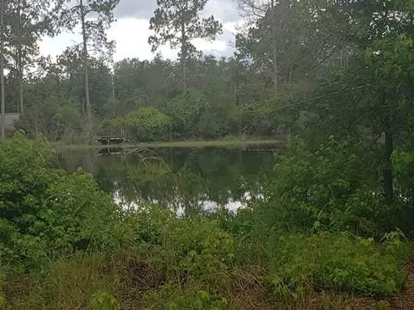 137 Riley Dr, Interlachen, FL 32148