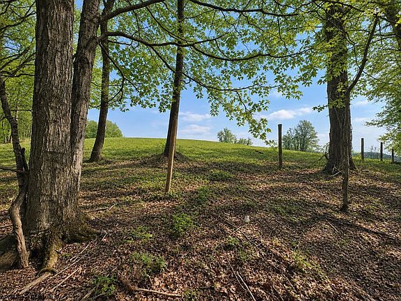 5th image of Pine Grove Rd
