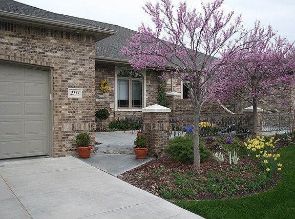 Spring color
