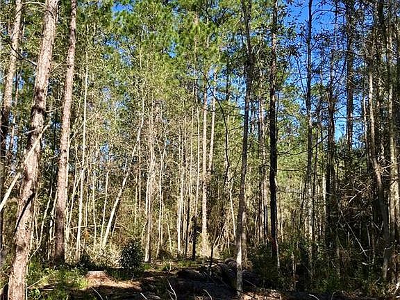 5th image of Silver Springs Dr