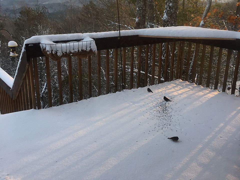 2nd image of 1451 Graham Rd