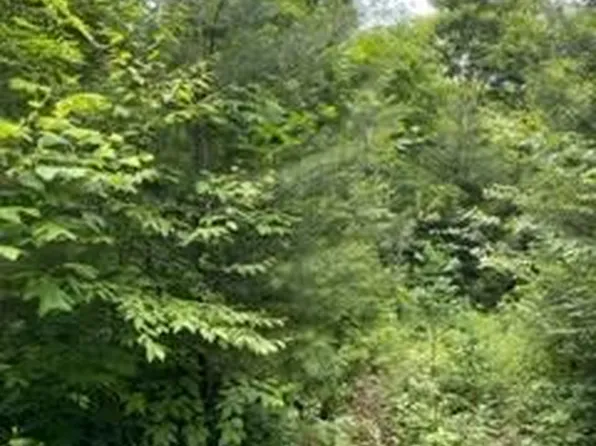 N/a Wolf Knob, Cullowhee, NC 28723