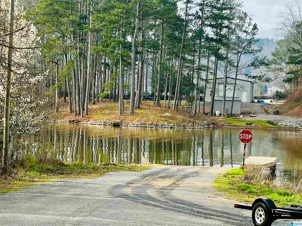 411 Launch Dr, Ashville, AL 35953